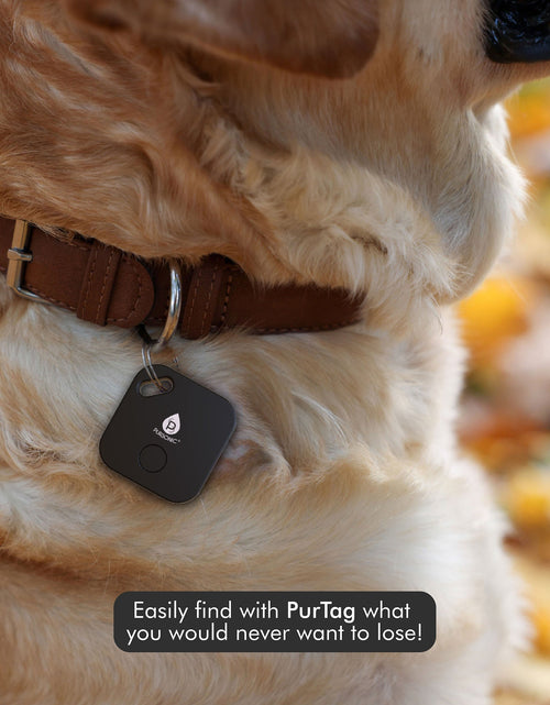 Load image into Gallery viewer, Purtag Tracker: Ultimate Solution for Keeping Tabs on Your Belongings
