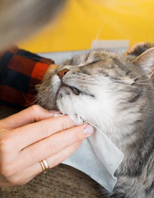 Load image into Gallery viewer, Furry Fresh Pet Wipes - Lavender Scented, 100 Extra Large Wipes
