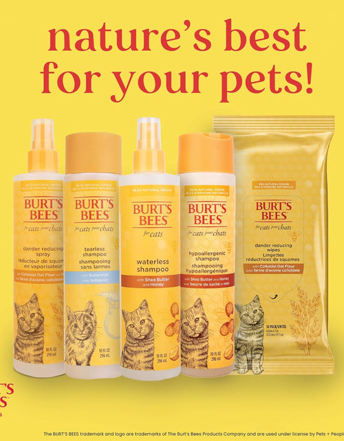 Load image into Gallery viewer, Burt'S Bees for Cats Dander Reducing Wipes - Kitten and Cat Wipes for Grooming - Burts Bees Cat Dander Wipes, Cat Grooming Wipes, Pet Wipes Cats, Cat Cleaning Wipes, Natural Cat Wipes, Cat Fur Wipes
