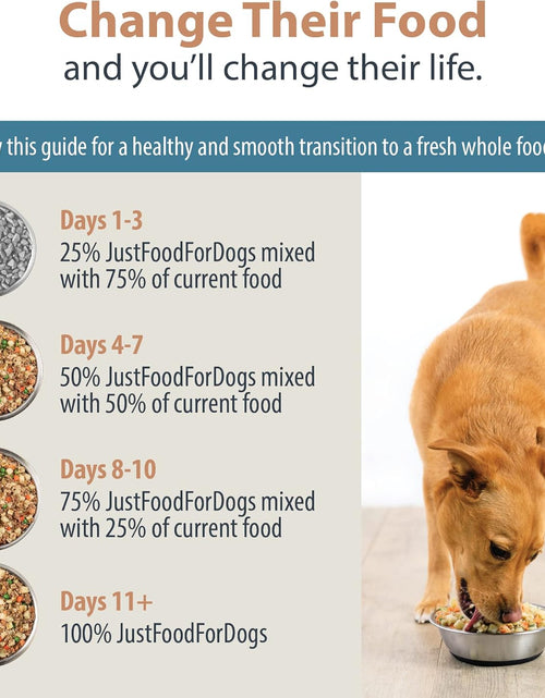 Load image into Gallery viewer, Pantry Fresh Wet Dog Food, Complete Meal or Dog Food Topper, Beef &amp; Russet Potato Human Grade Dog Food Recipe - 12.5 Oz (Pack of 6)
