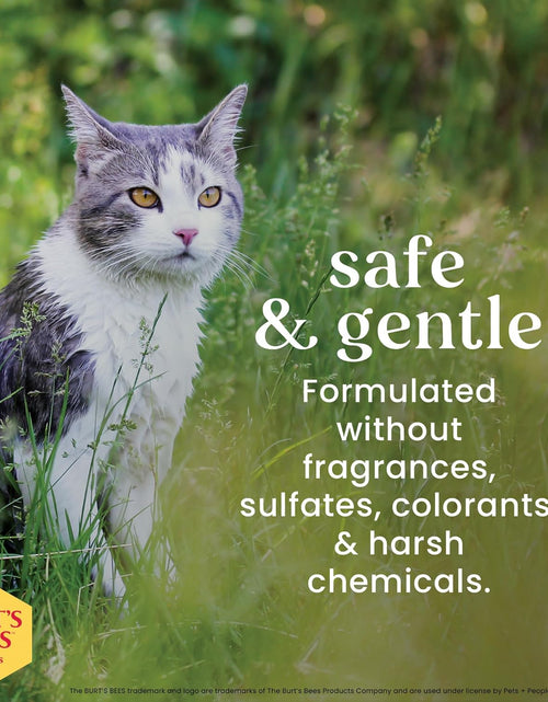 Load image into Gallery viewer, Burt'S Bees for Cats Dander Reducing Wipes - Kitten and Cat Wipes for Grooming - Burts Bees Cat Dander Wipes, Cat Grooming Wipes, Pet Wipes Cats, Cat Cleaning Wipes, Natural Cat Wipes, Cat Fur Wipes
